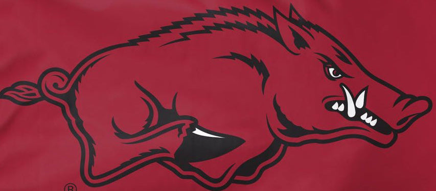 Arkansas Razorbacks 3' x 5' flag closeup of logo