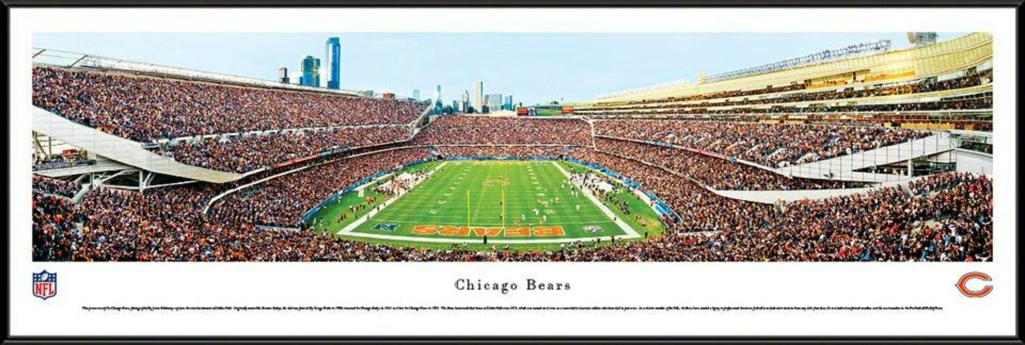 Chicago Bears - End Zone - Deluxe Frame