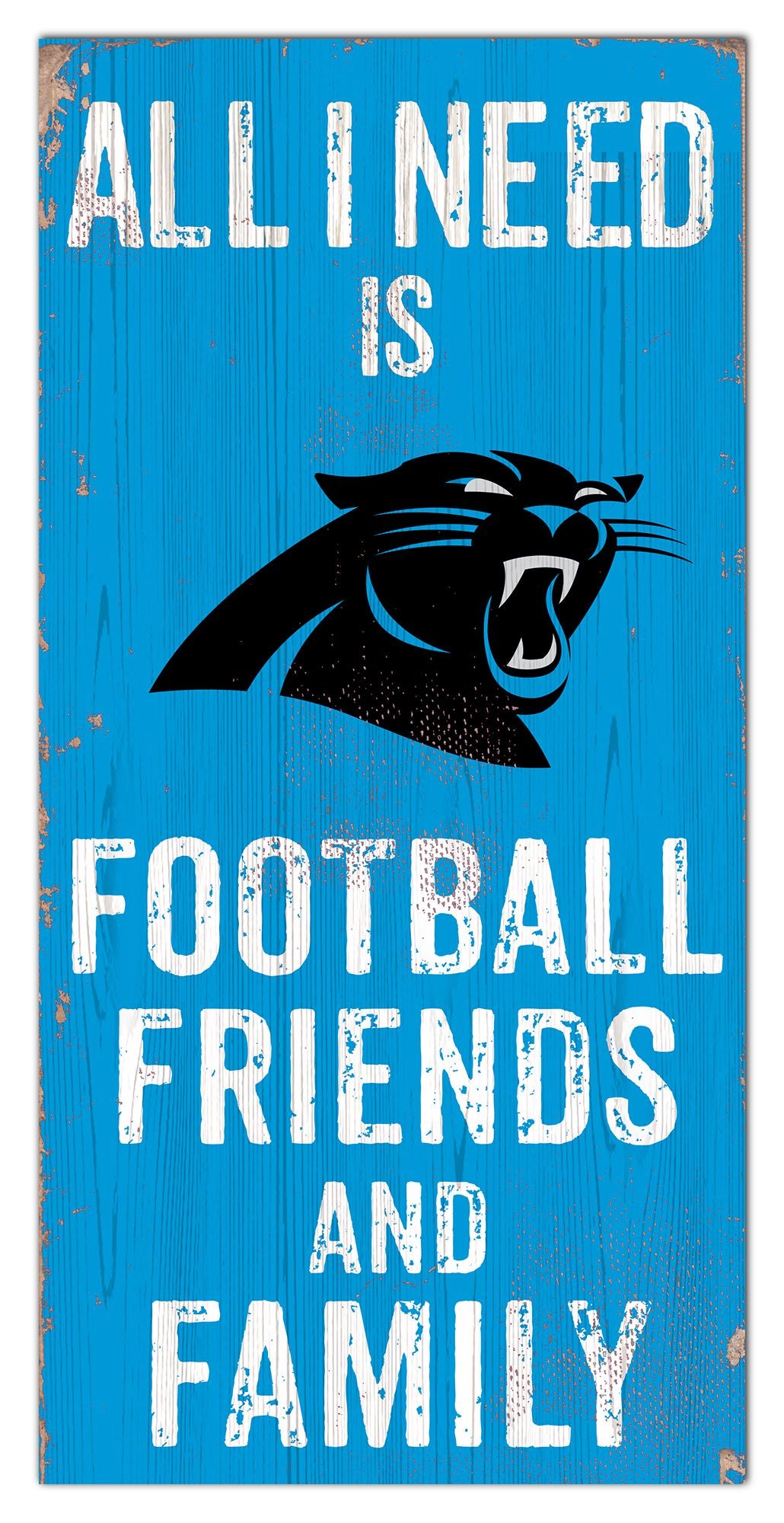 Carolina Panthers Panoramic Poster