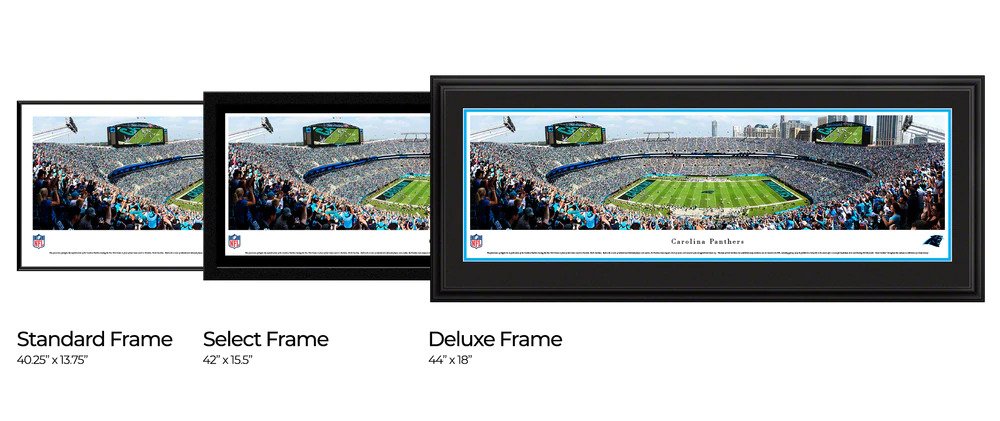 Carolina Panthers Sideline View Bank of America Stadium Picture by Blakeway Panoramas