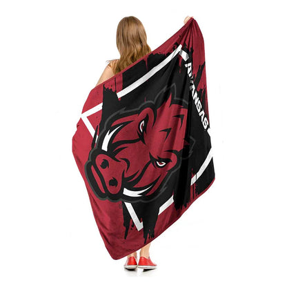 Arkansas Razorbacks 46" x 60" Dimensional Micro Raschel Throw Blanket by Northwest Group