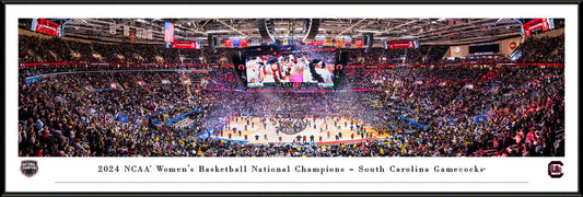 Panoramic of the 2024 NCAA Women's Basketball National Championship featuring South Carolina Gamecocks with players celebrating and fans in the stands.