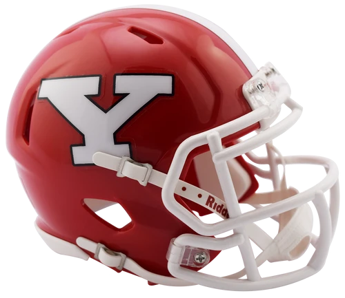 Youngstown State Penguins Speed Mini Helmet by Riddell