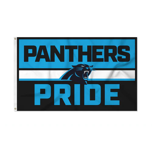 Carolina Panthers 3' x 5' Bold Banner Flag by Rico