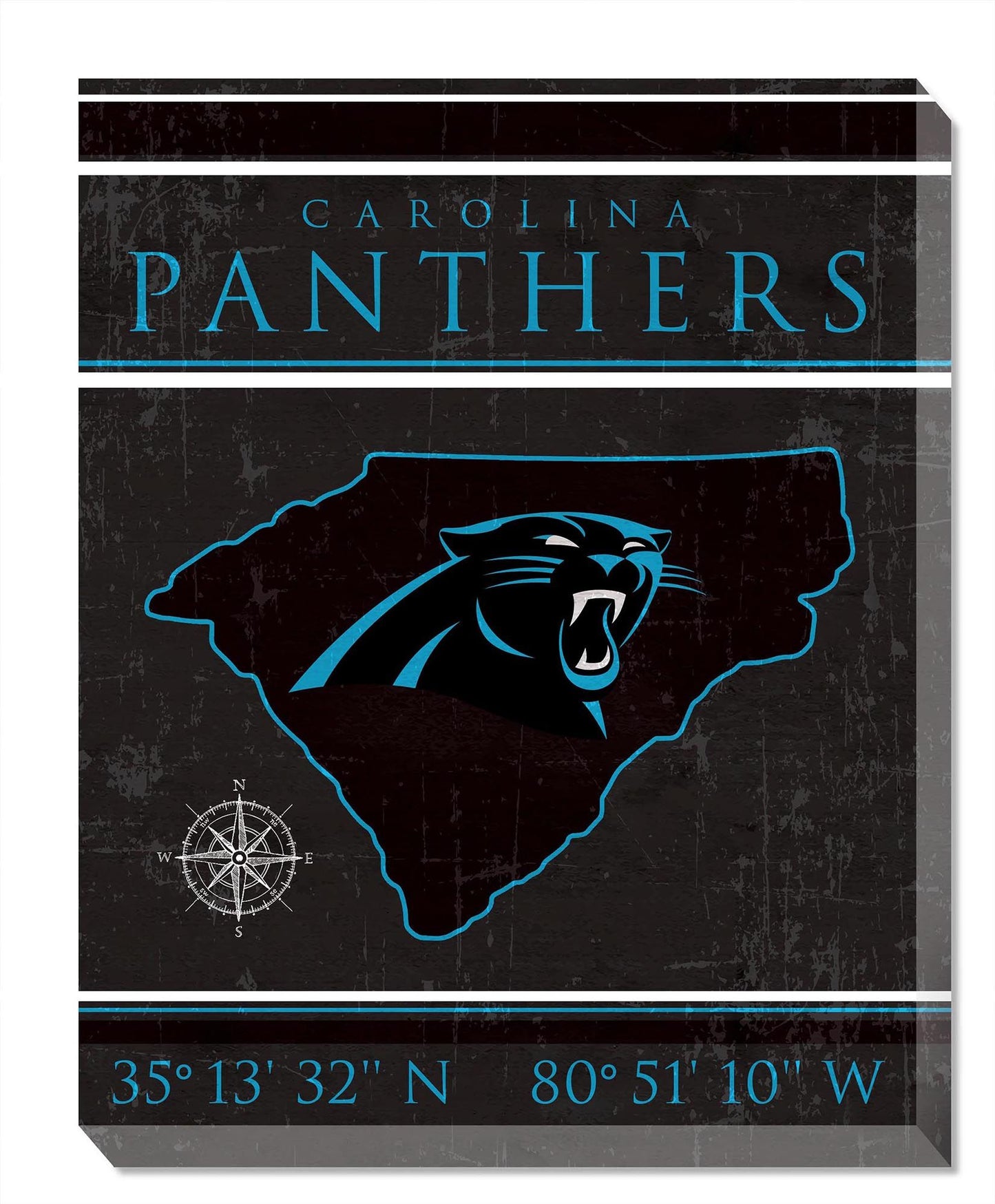 Carolina Panthers Coordinates 16" x 20" Canvas Sign by Fan Creations