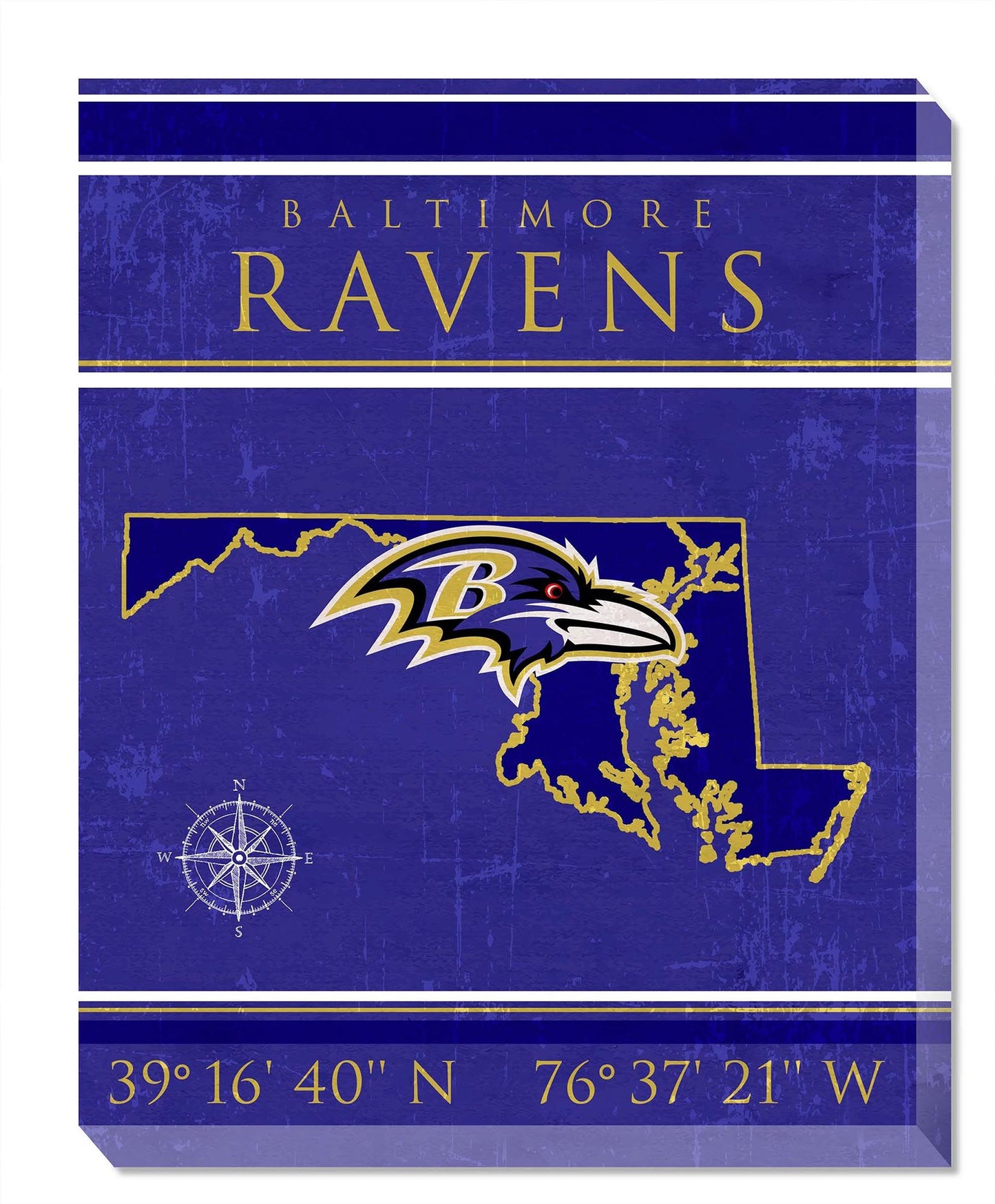 Baltimore Ravens Coordinates 16" x 20" Canvas Sign by Fan Creations