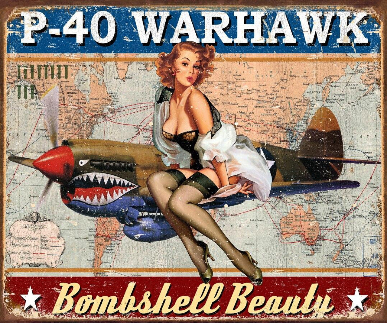 Warhawk 16' x 12.5" Metal Tin Sign - 2460