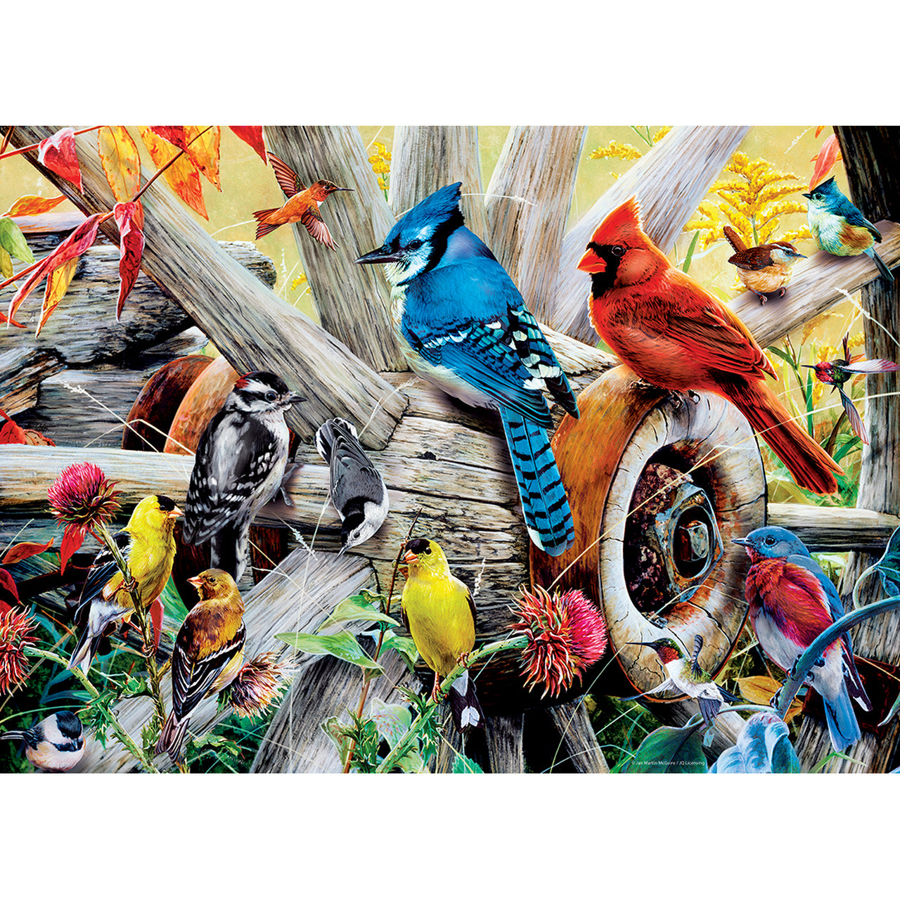 Audubon - Backyard Birds 1000 Piece Jigsaw Puzzle by MasterPieces