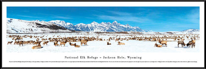 National Elk Refuge - Jackson Hole, Wyoming Panoramic Picture by Blakeway Panoramas