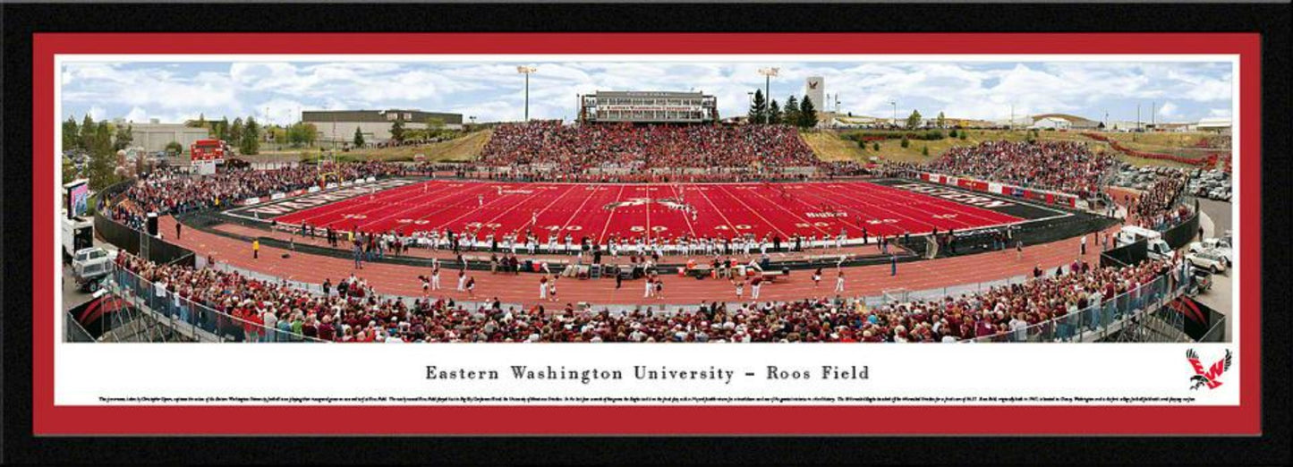 Eastern Washington Eagles Panoramic - Roos Field Picture by Blakeway Panoramas