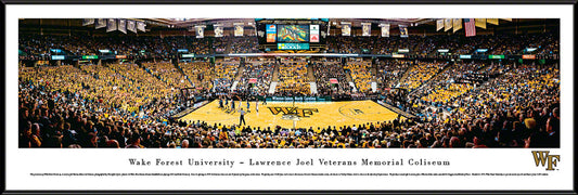 Wake Forest Demon Deacons Panoramic - LJVM Coliseum Picture by Blakeway Panoramas