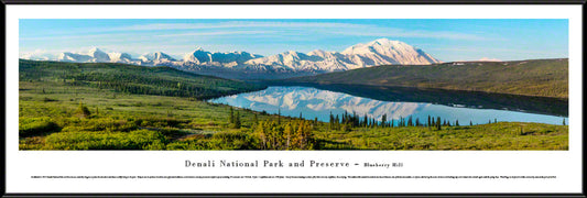 Denali National Park Scenic Panorama - Blueberry Hill by Blakeway Panoramas
