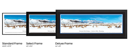 National Elk Refuge - Jackson Hole, Wyoming Panoramic Picture by Blakeway Panoramas