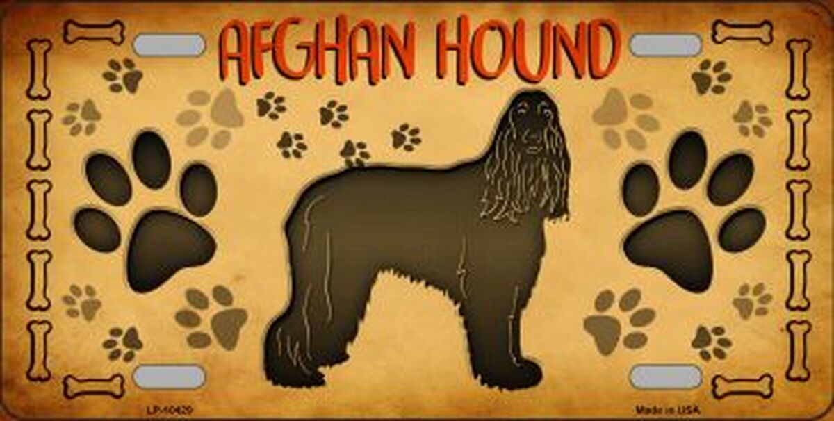 Afghan Hound Novelty Metal License Plate Tag LP-10429