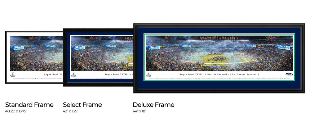 2014 Super Bowl Panoramic Picture - Seattle Seahawks by Blakeway Panoramas