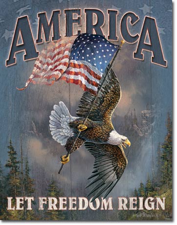 America - Let Freedom Reign Metal Tin Sign - 1668