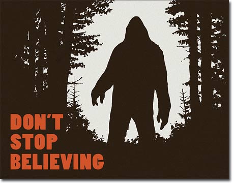 Don't Stop Believing 16" x 12.5" Metal Tin Sign - 2195