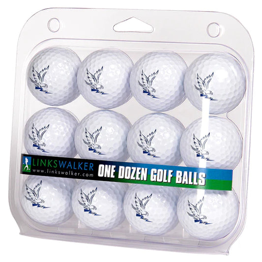 Air Force Falcons NCAA golf balls, 1 dozen 2-piece regulation size, with team logo. White color, officially licensed. Made by Linkswalker.