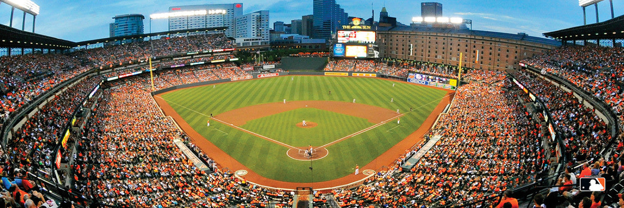 Baltimore Orioles Panoramic Stadium 1000 Piece Puzzle - Center View by Masterpieces
