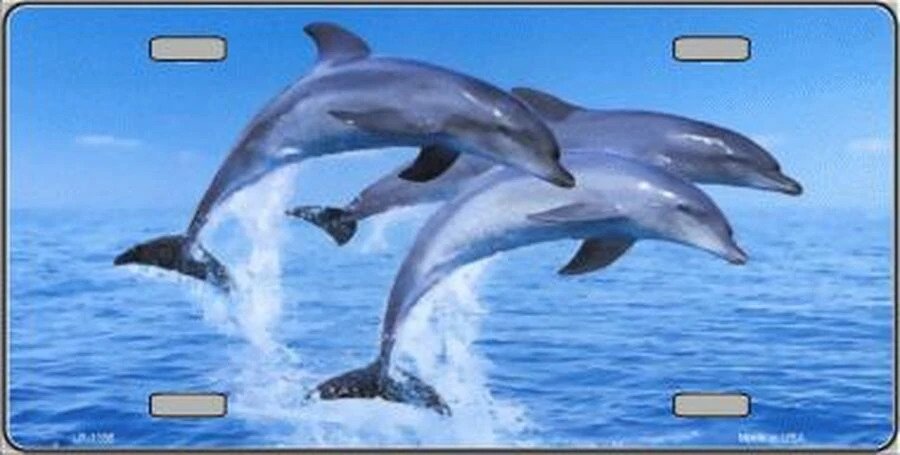 Dolphins 6" x 12" Novelty Metal License Plate Tag LP-1186