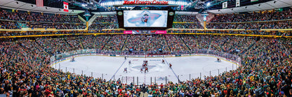 Minnesota Wild Panoramic Stadium 1000 Piece Puzzle - Center View by Masterpieces