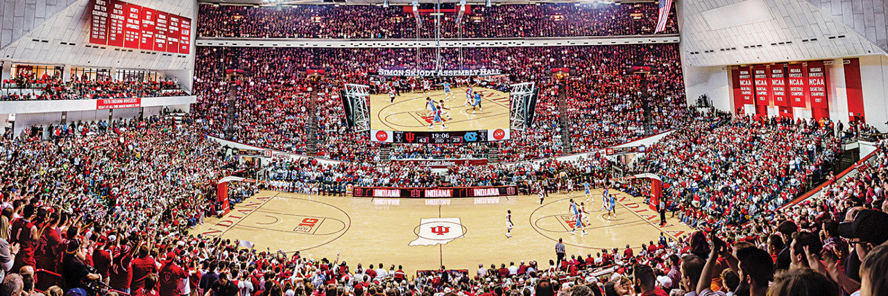 Indiana Hoosiers Panoramic Stadium Basketball 1000 Piece Puzzle - Center View by Masterpieces