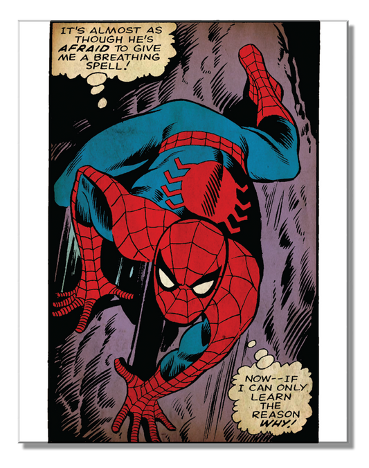Spider Man Wall Metal Tin Sign - 2751