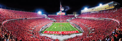 Ohio State Buckeyes Panoramic Stadium 1000 Piece Puzzle - End View by Masterpieces