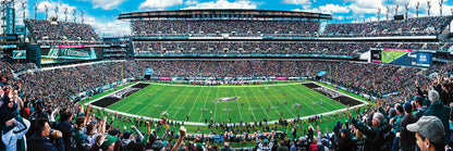 Philadelphia Eagles Panoramic Stadium 1000 Piece Jigsaw Puzzle - Center View by Masterpieces